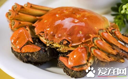 2017年阳澄湖大闸蟹多少钱一只 什么时候上市