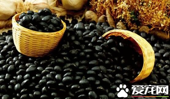 黑豆是酸性还是碱性食物 食用黑豆的注意事项