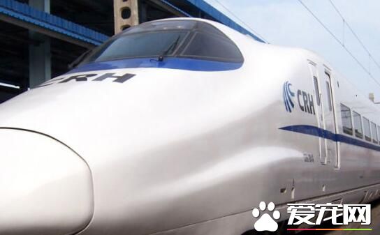 坐动车可以叫外卖吗 坐动车怎么叫外卖