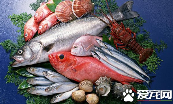 海鲜如何放入冰箱保鲜 海鲜怎么保存好