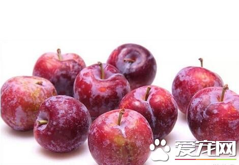 红李子怎么腌制才好吃 腌李子的注意事项是什么