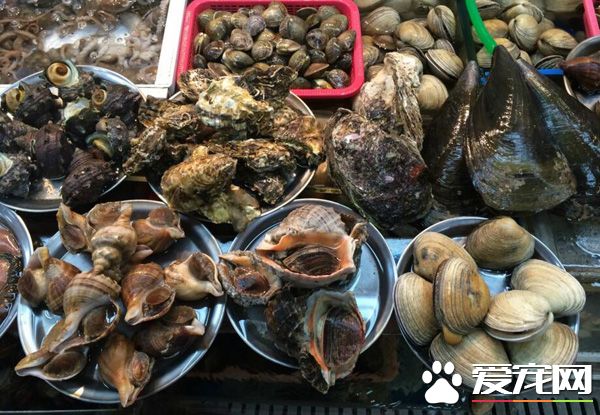 海鲜如何放入冰箱保鲜 海鲜怎么保存好