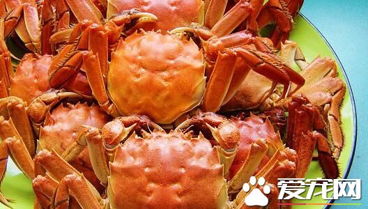 2017年阳澄湖大闸蟹多少钱一只 什么时候上市