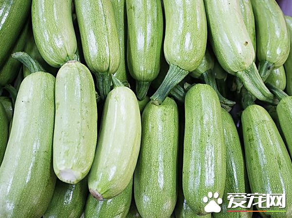 西葫芦发苦是怎么回事 西葫芦发苦能吃吗