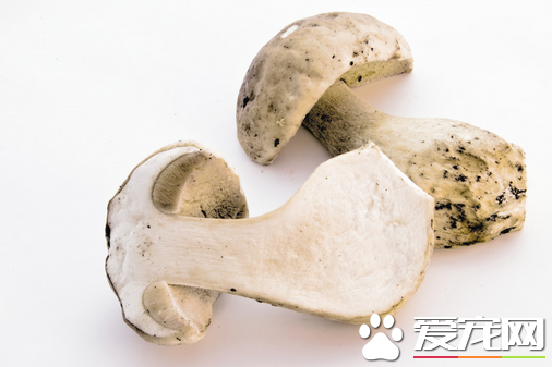 牛肝菌吃多少会中毒 吃牛肝菌中毒怎么办