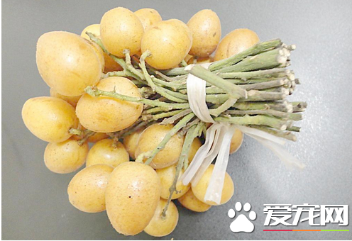 黄皮果快递怎样保鲜 快递价格多少钱