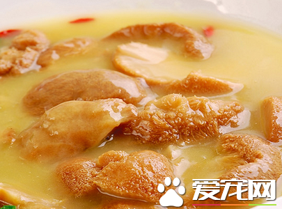 猴头菇能治疗胃病吗 胃病的人适合吃猴头菇吗