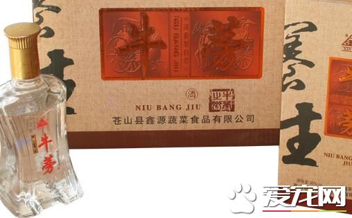 牛蒡可以泡酒吗 牛蒡酒的功效与作用