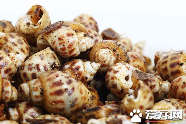 花螺死了能吃吗 花螺的忌宜人群