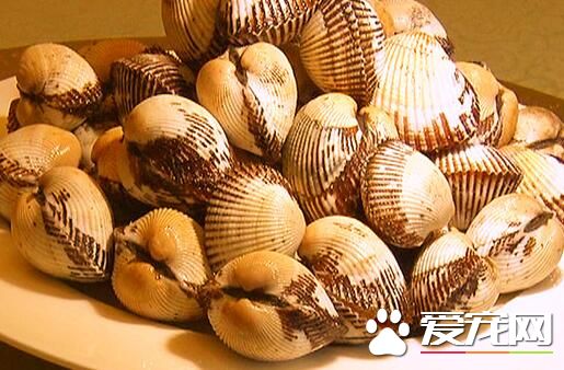 孕妇能吃毛蚶吗 毛蚶怎么清洗