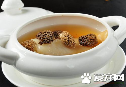 羊肚菌能泡酒吗 孕妇能不能吃羊肚菌