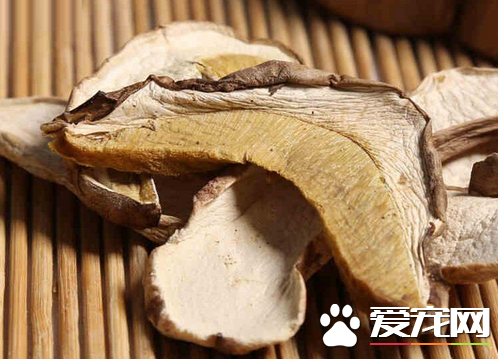 牛肝菌吃多少会中毒 吃牛肝菌中毒怎么办