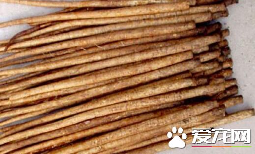 新鲜牛蒡怎么晒干 吃牛蒡的注意事项