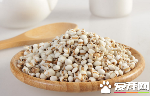 薏仁米可以和大米一起煮吗 薏米不能和什么一起吃