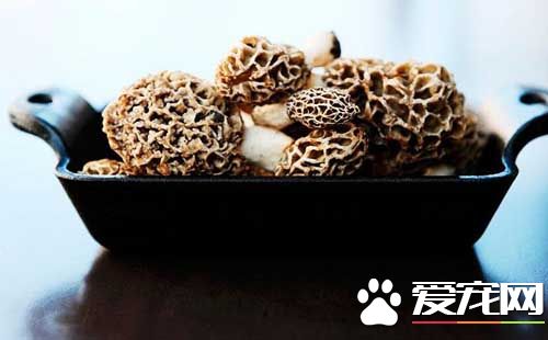 羊肚菌能泡酒吗 孕妇能不能吃羊肚菌