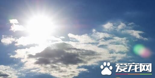 三伏天多出汗有什么好处 三伏天大量出汗好吗