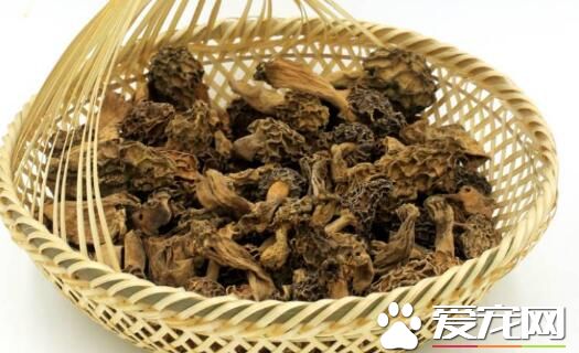 羊肚菌能治什么病 羊肚菌能冷冻保鲜吗