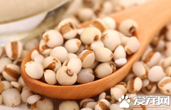 薏仁米可以和大米一起煮吗 薏米不能和什么一起吃