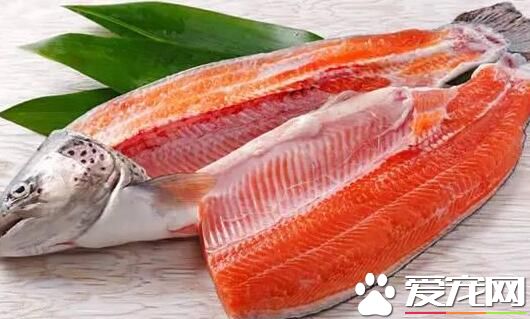 三文鱼怎么挑选 三文鱼是什么鱼