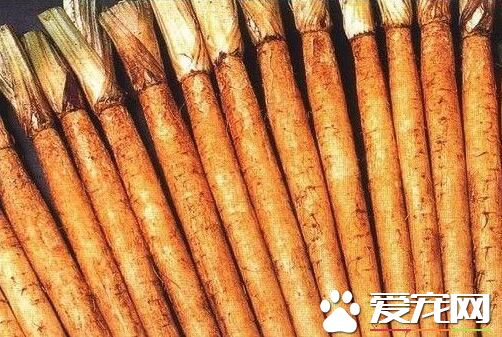 牛蒡多少钱一斤2017 新鲜牛蒡怎么挑选