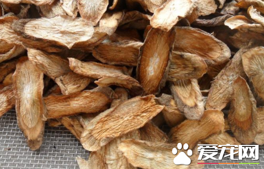 牛蒡与什么搭配泡酒好 牛蒡泡酒有什么功效与作用