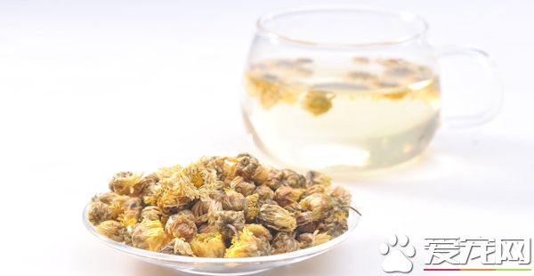 三伏天喝哪些茶好 三伏天适合喝什么茶