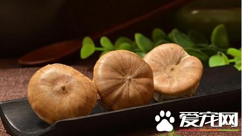 龟头子一斤多少钱2017 龟头子泡水喝上火吗