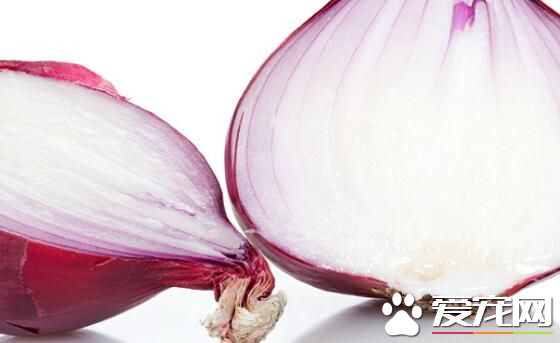 洋葱放冰箱会怎样 洋葱放冰箱可以放多久