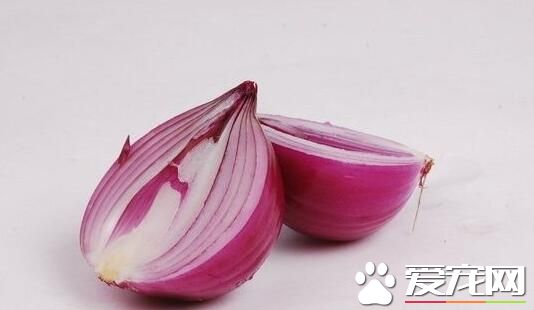 洋葱放冰箱会怎样 洋葱放冰箱可以放多久
