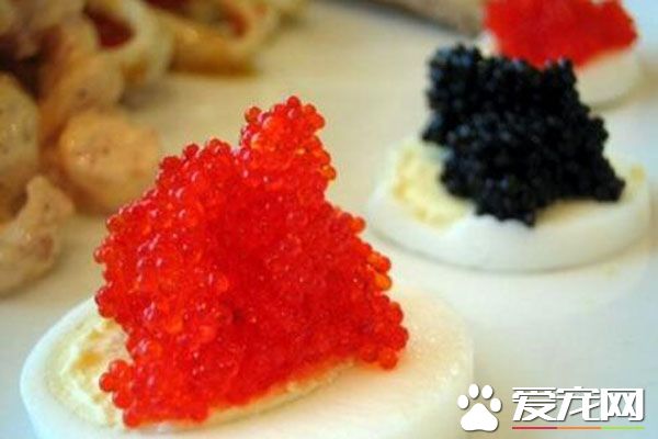 孕妇能吃鱼子酱吗 鱼子酱的功效有哪些