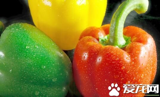 柿子椒不能和什么同食 柿子椒是菜椒吗