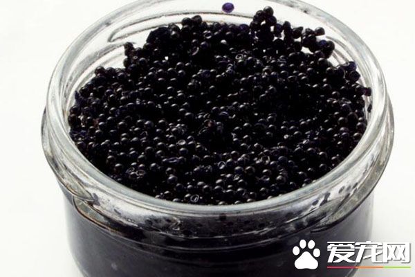 鱼子酱是什么 鱼子酱的做法