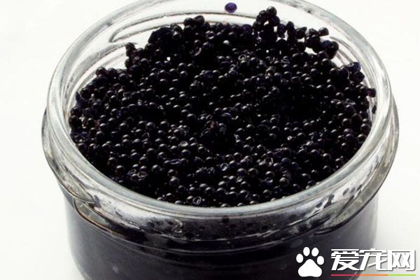 孕妇能吃鱼子酱吗 鱼子酱的功效有哪些