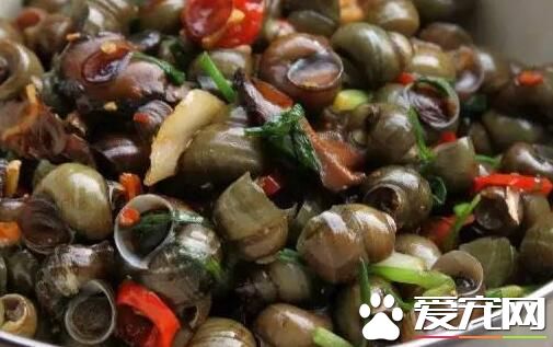 田螺多少钱一斤批发2017 田螺怎么养不会死