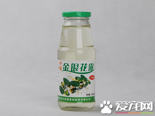 金银花露一天能喝几瓶 金银花露一次喝多少