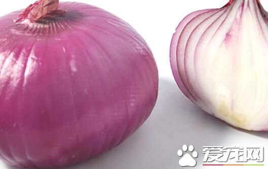 洋葱放脚底有什么作用 洋葱放脚底怎么治感冒