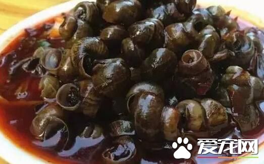 田螺多少钱一斤批发2017 田螺怎么养不会死