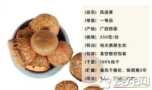 龟头子一斤多少钱2017 龟头子泡水喝上火吗