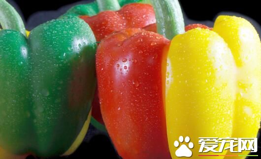 柿子椒不能和什么同食 柿子椒是菜椒吗