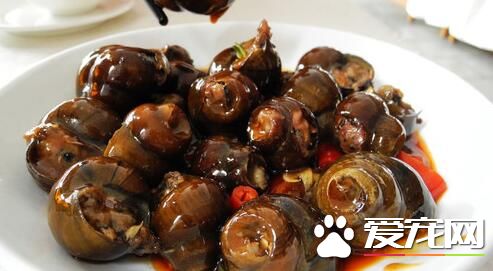 哺乳期可以吃田螺吗 哺乳期吃田螺会回奶吗