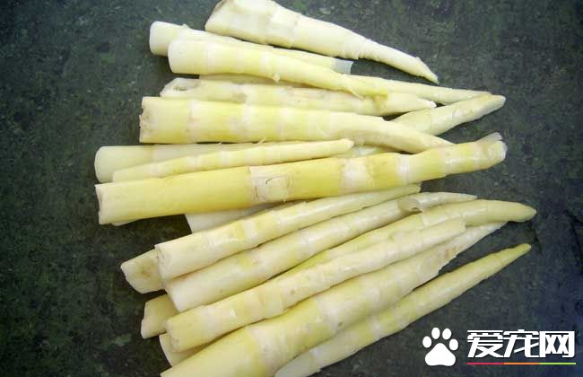 苦竹笋的功效与作用 苦竹笋的食用方法