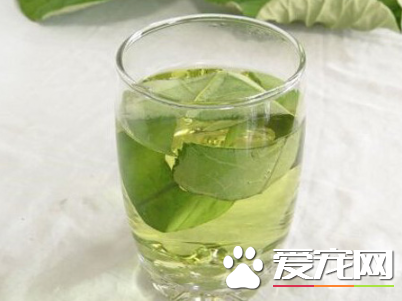 夏天喝什么凉茶解暑 夏天适合喝哪些凉茶