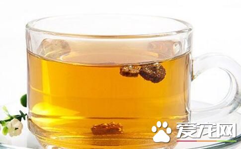 牛蒡茶什么人适合喝 哪些人不适合喝牛蒡茶