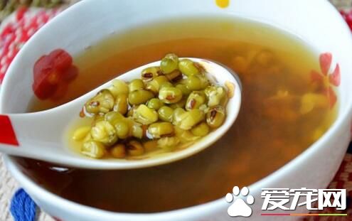 绿豆汤可以放冰箱吗 绿豆汤放冰箱能放多久