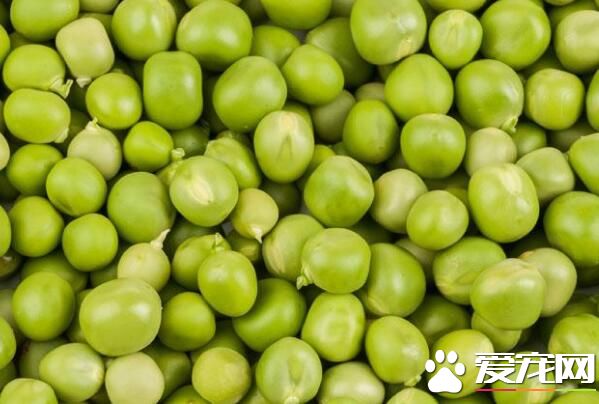 豌豆吃多了会怎样 豌豆吃多了会胖吗