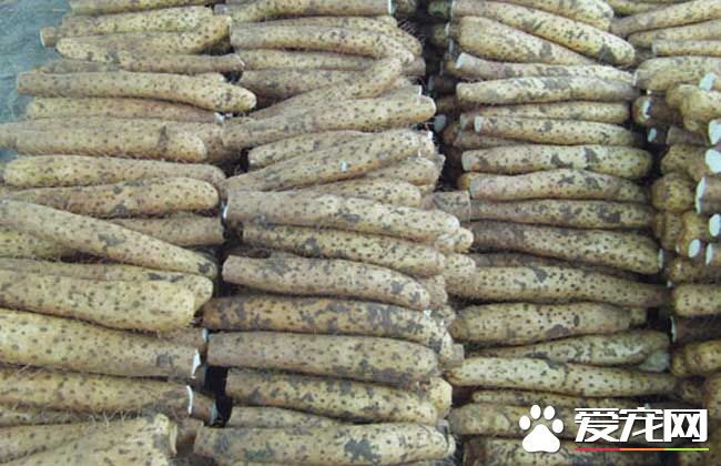 山药和土豆能一起吃吗 山药不能和什么一起吃