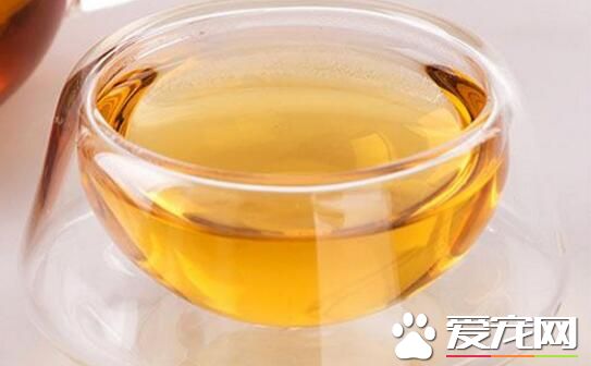 牛蒡茶可以隔夜喝吗 早上空腹能喝牛蒡茶吗