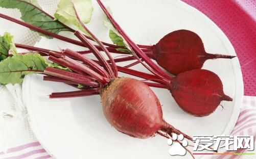 甜菜根有哪些功效 甜菜根什么人不能吃