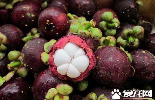 哺乳期能吃山竹吗 吃山竹有什么好处