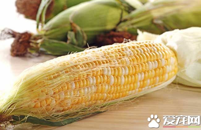 血糖高能吃玉米吗 哪些人不能吃玉米
